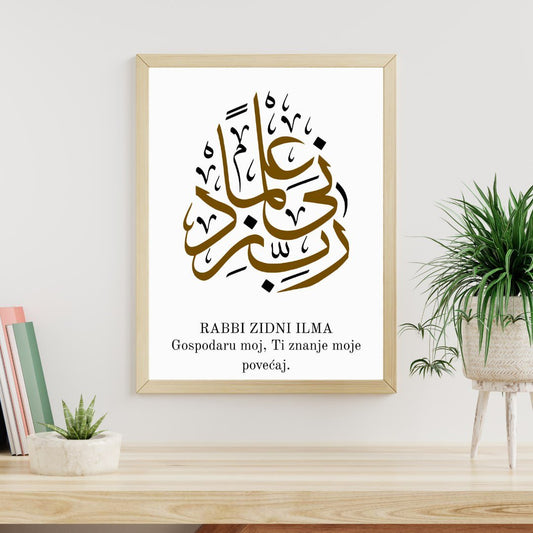 Poster dova - Revda